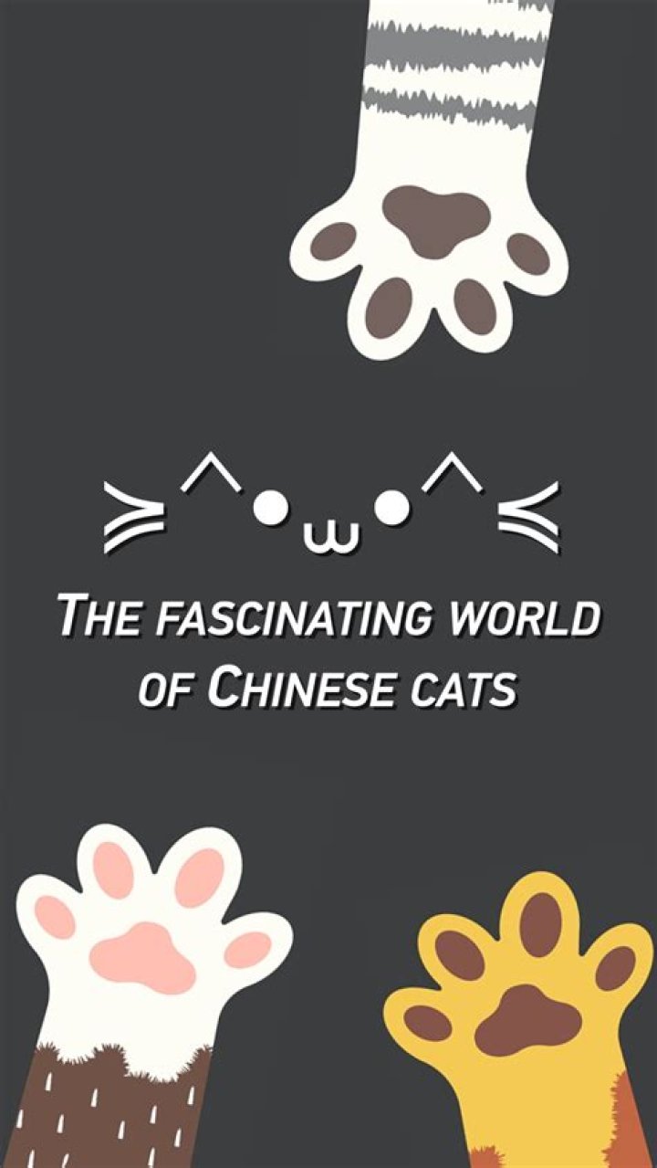 Understanding the Fascinating World of Cat Noses