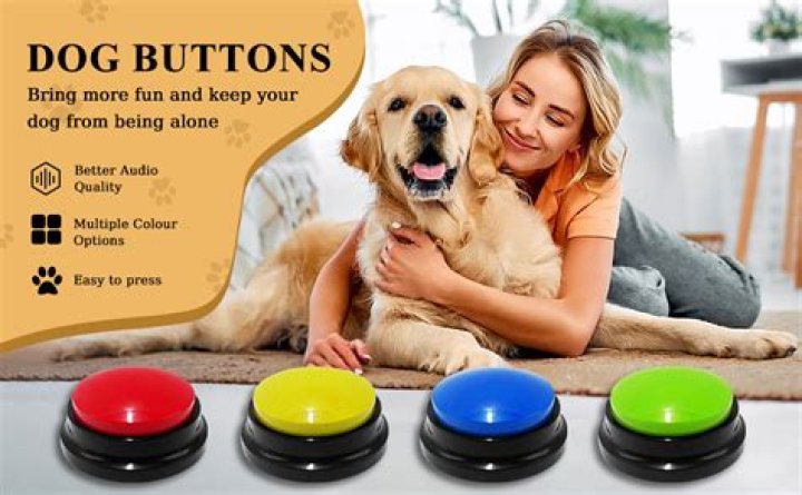Unlocking Communication: The Fascinating World of Talking Dog Buttons