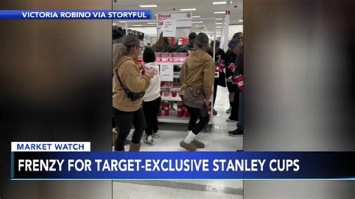 Unveiling the Charm of the Stanley Valentine Cup