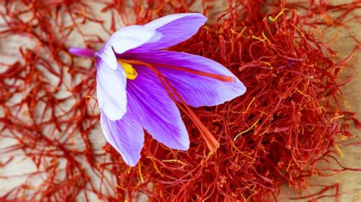 Unveiling the Origins of Saffron: Where Does It Come From?