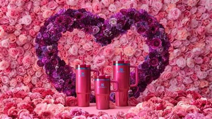 Valentine Day Stanley: Celebrating Love and Connection