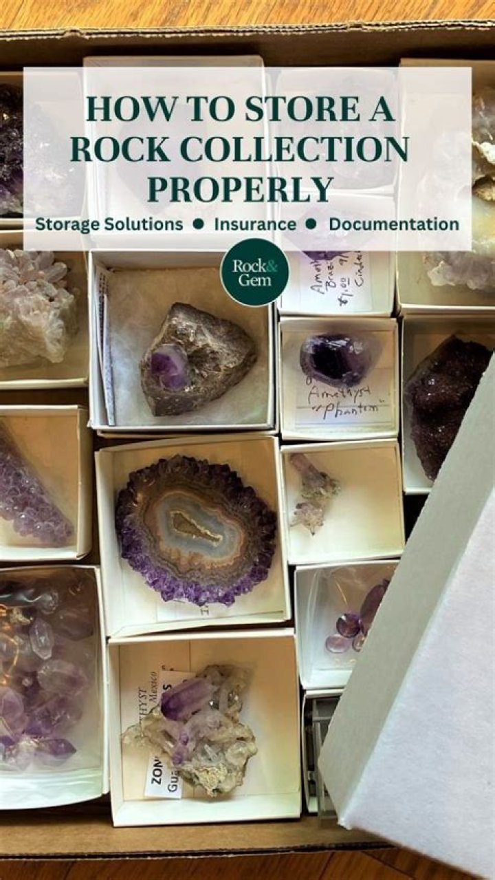 Walgren Poster: The Ultimate Guide to Collecting and Displaying Vintage Art