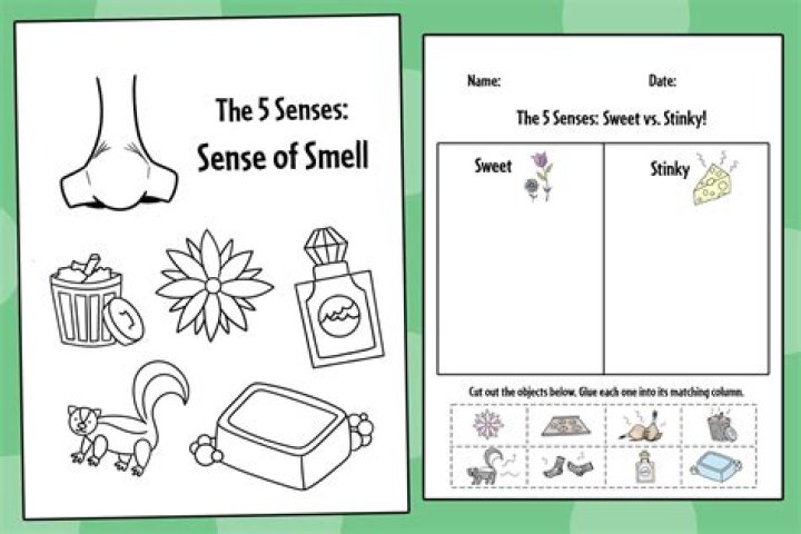 What Happens If You Smell Too Many Roses? A Whimsical Exploration